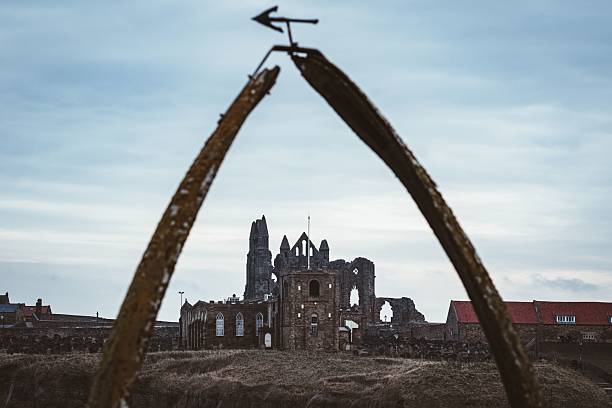 istockphoto 2203556946 612x612