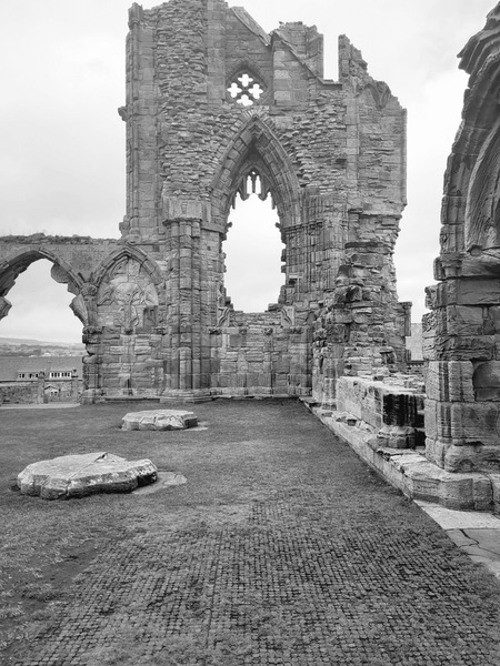 whitby gothic abbey ruins black 600nw 2583850031