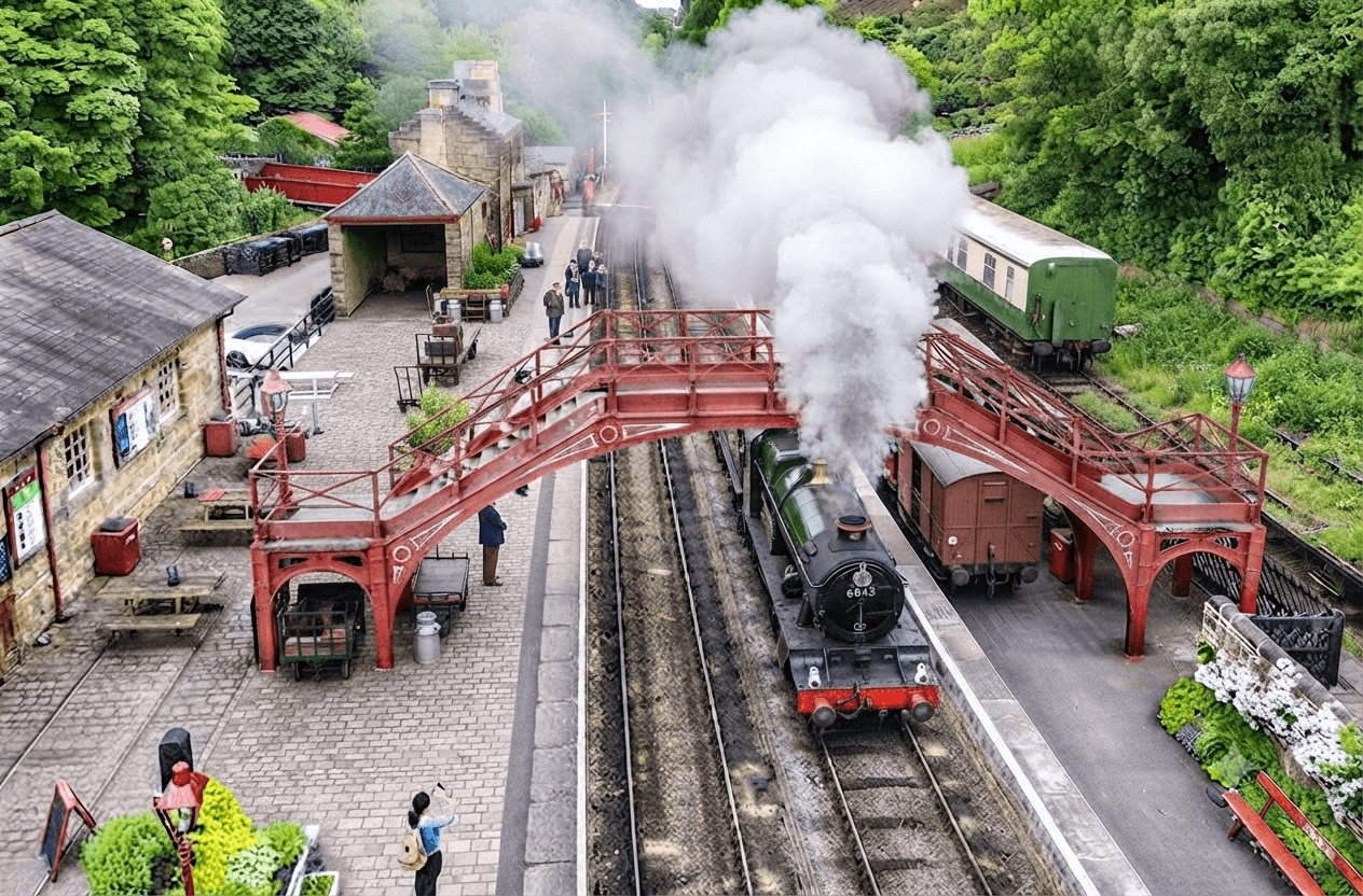 North York Moors steam railway and Whitby private tour
