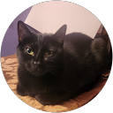 Sheila Miller-Cobb profile picture